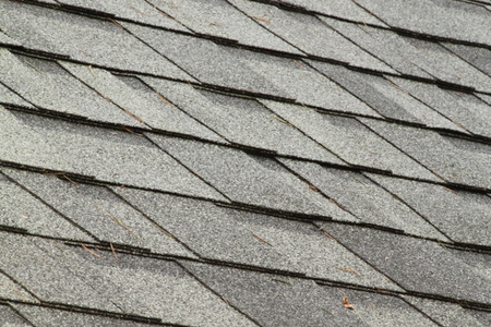 Roof Cleaning in Harrisonburg, VA | Roof Streaks vs. Moss Thumbnail