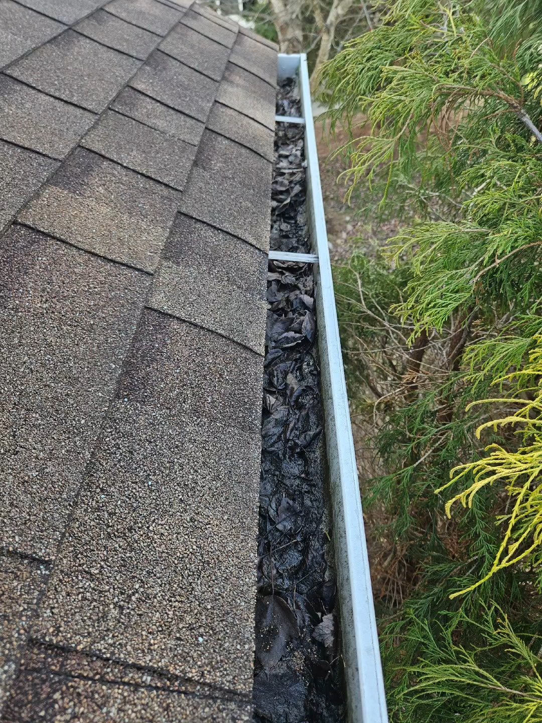 Expert Gutter Cleaning in Waynesboro, Harrisonburg & Staunton: Protect Your Home from Water Damage