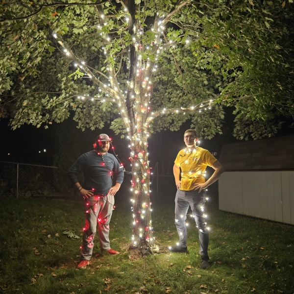 Harrisonburg christmas light installers